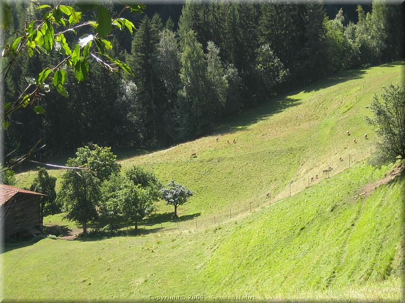 Sennausfahrt09_38.jpg