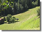 Sennausfahrt09_38.jpg