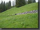 Sennausfahrt10_098.jpg