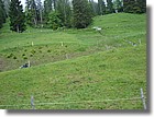 Sennausfahrt10_099.jpg